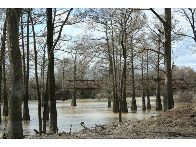 Black Bayou Bridge